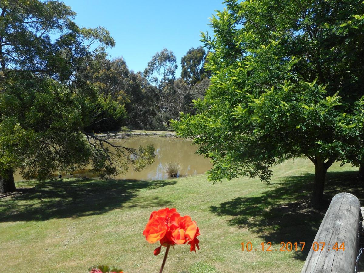 Wurrung B & B - The Cottage Woodend Luaran gambar