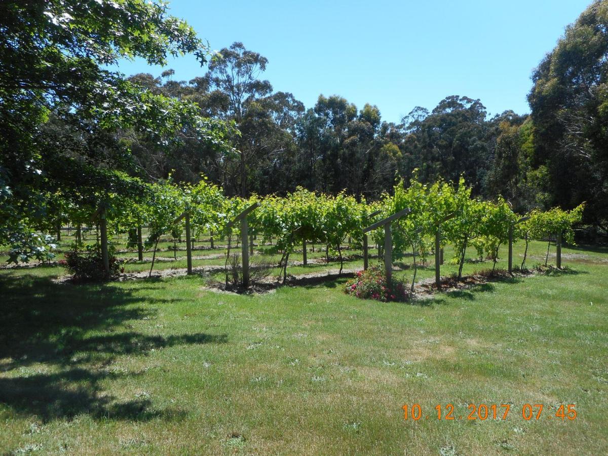 Wurrung B & B - The Cottage Woodend Luaran gambar