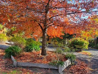 Wurrung B & B - The Cottage Woodend Luaran gambar