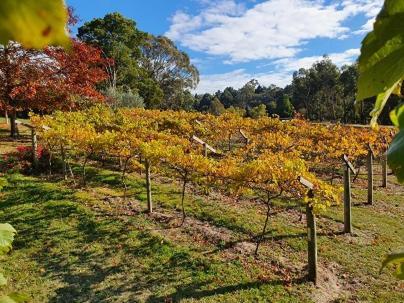 Wurrung B & B - The Cottage Woodend Luaran gambar